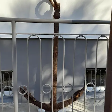 Cecilia פורטוגרוארו