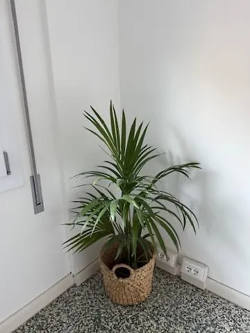 Cecilia * Portogruaro